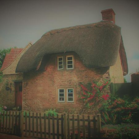 Thatch Cottage Lacock Εξωτερικό φωτογραφία