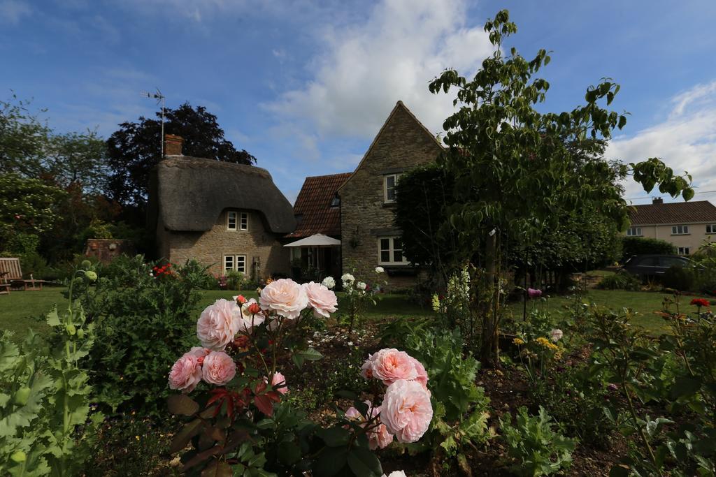 Thatch Cottage Lacock Εξωτερικό φωτογραφία