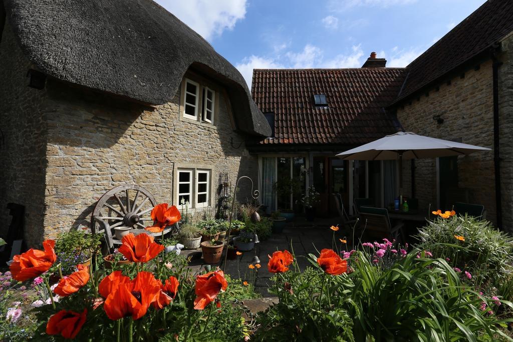 Thatch Cottage Lacock Εξωτερικό φωτογραφία