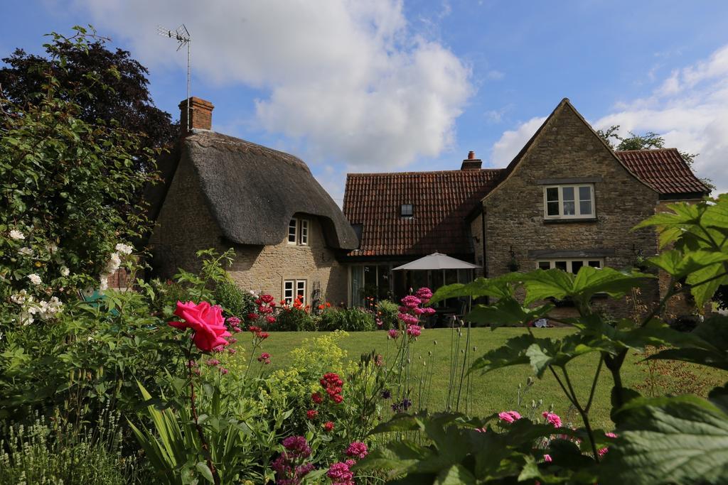 Thatch Cottage Lacock Εξωτερικό φωτογραφία